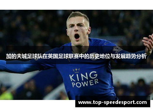 加的夫城足球队在英国足球联赛中的历史地位与发展趋势分析 加的夫城足球队在英国足球联赛中的历史地位与发展趋势分析
