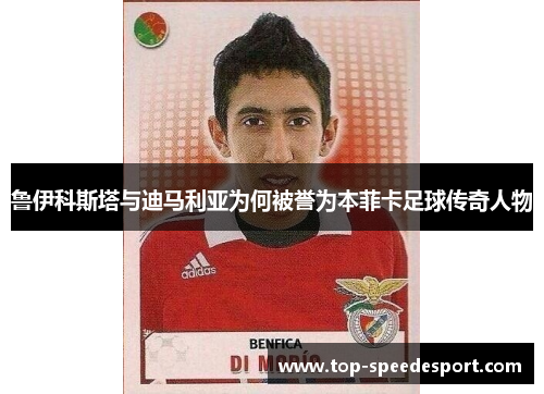 鲁伊科斯塔与迪马利亚为何被誉为本菲卡足球传奇人物